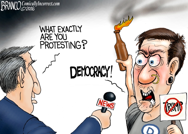 Protesting-Democracy